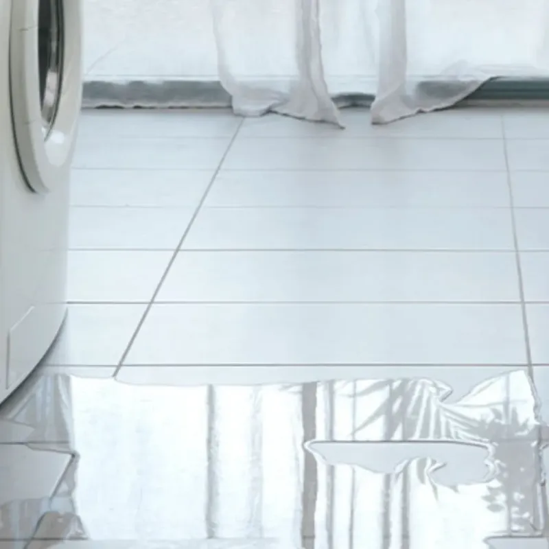 Appliance Leak Cleanup in Saint Marys, OH