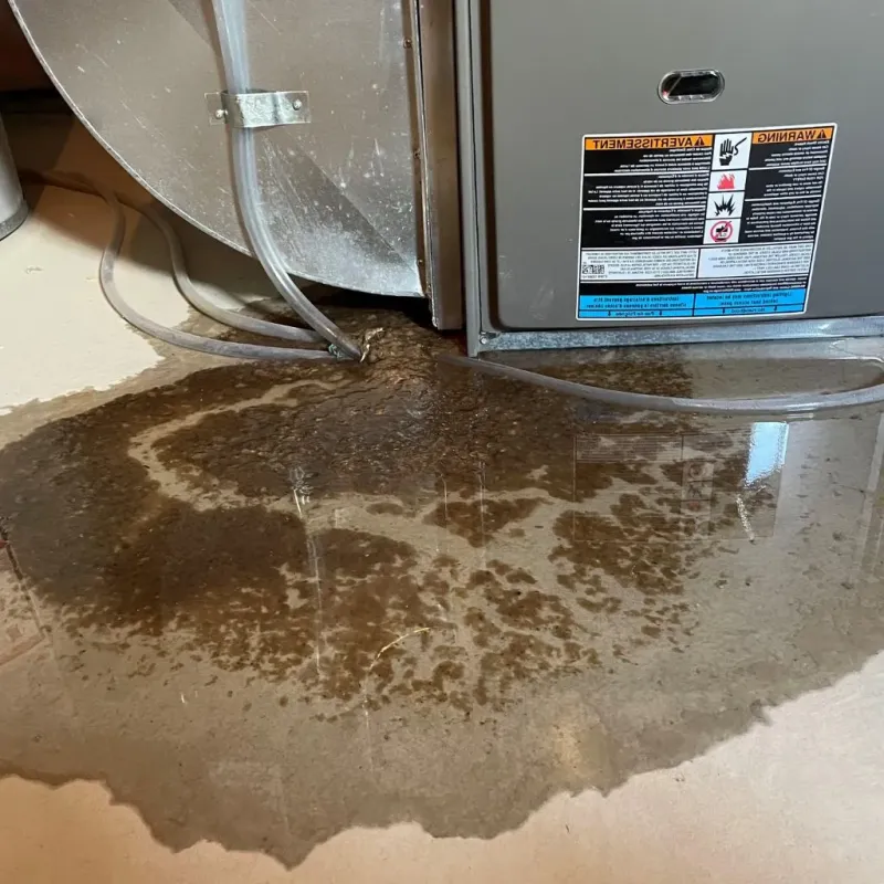 Pipe Burst and Leak Restoration in Saint Marys, OH