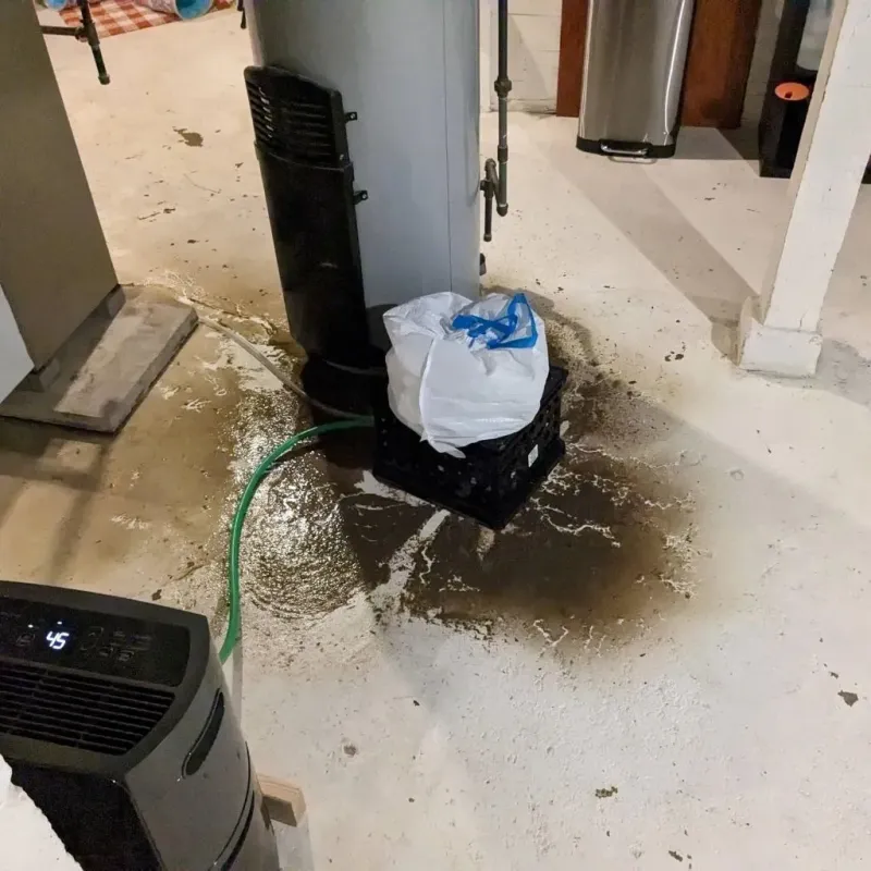 Sewage Backup Cleanup Service in Saint Marys, OH